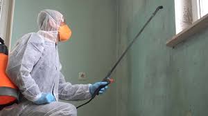 Mold Remediation for Rental Properties in Elko, NV